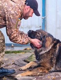A military animal rescue worker saying hello to a lonely pooch